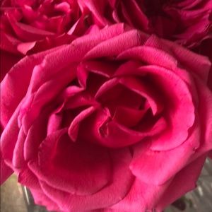 Meet your Posher, Ofelia